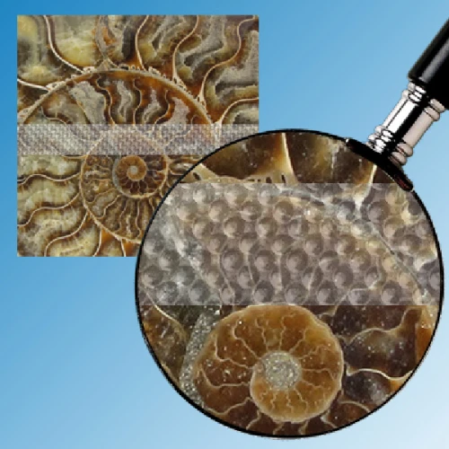 Противоскользящая тактильная лента Antislip Systems 200 мм, 10 м прозрачная