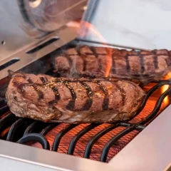 Газовый гриль Nexgrill Prime BISON 5B