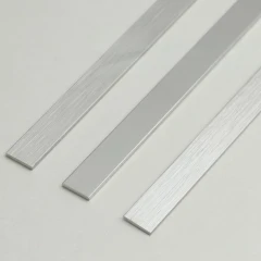 Алюминиевая полоса 20х1,5мм, 2,7м, браш серебро/глянец