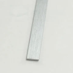 Алюминиевая полоса 10х1,5мм, 2,7м, браш серебро/глянец