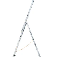 Лестница Эйфель алюминиевая Классик 3х10