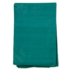 Тент полиэтиленовый 4-х слойный ламинированный X-Glass 5х10м, 120гр/м2