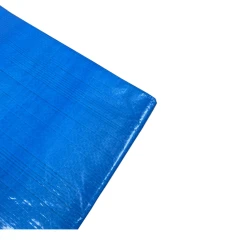 Тент полиэтиленовый 4-х слойный ламинированный X-Glass 4х6м, 80гр/м2