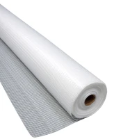 Пленка армированная 2мх50м 100 г/кв.м XGLASS (P)