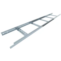 Лоток лестничный ЛМЛ 300х60 (1,2мм)  L=3000