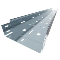 Лоток перфорированный ЛМП 250х100 (0,70мм)  L=3000