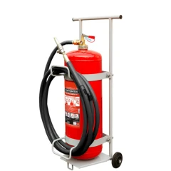 Огнетушитель воздушно-эмульсионный ОВЭ-100 (з) АВCЕ