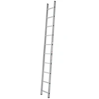 Лестница алюминиевая односекционная Новая Высота NV 1210, 1х10