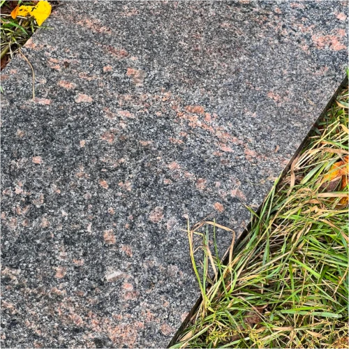 Плита пошаговая термо из гранита Токимовский 1200х400х50 мм