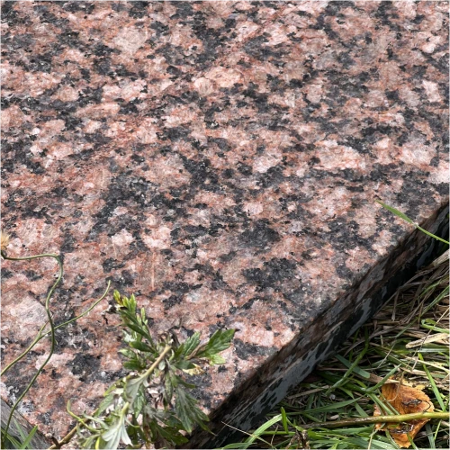 Плита пошаговая термо из гранита Дымовский (Елизовский) 1200х400х50 мм