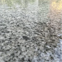 Плита пошаговая термо из гранита Мансуровский 1200х400х50 мм