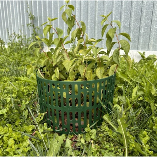 Защита кустов и деревьев ЗСД-01.20(25).37-ПП (упаковка 10 шт) цвет зеленый