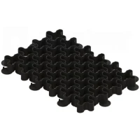 Решетка газонная чёрная РГ-60.40.5,1-ПП 