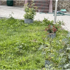 Защита кустов и деревьев ЗСД-01.20(25).37-ПП (упаковка 10 шт) цвет серый