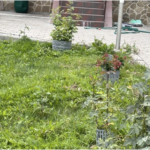 Защита кустов и деревьев ЗСД-01.20(25).37-ПП (упаковка 10 шт) цвет серый