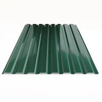 Профнастил С20 полимер 0,45 1,15х2 м текстурированный RAL 6005