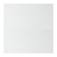 Плита потолочная Armstrong Retail NG, кромка Board, 600х600х12 мм (20 шт/7,2 м2)