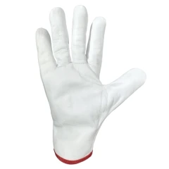 Перчатки PROBUCKLER 640 универсальные кожаные