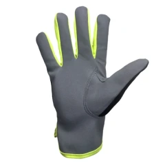 Перчатки PROBUCKLER 21