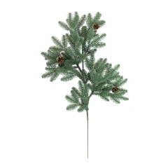 Ветка хвойная с шишками 