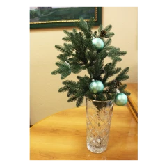 Ветка хвойная с шишками 