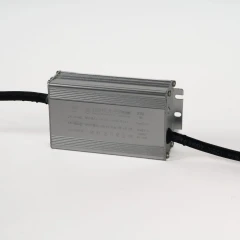 Импульсный источник питания для дюралайта 220/24 В, 100 Вт, 1.5 м, черный, с вилкой