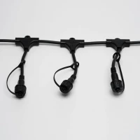 Шина 2.3 м, 20 Т-коннекторов, черный провод, 2Pin