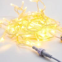 Гирлянда Нить, 220 В, 10 м, прозрачный провод, ПВХ, тёплый белый, без мерцания