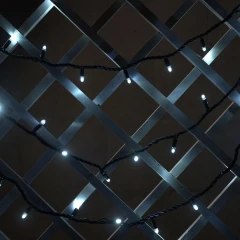 Гирлянда Нить, 220 В, 10 м, чёрный провод, каучук (резина), белый, без мерцания