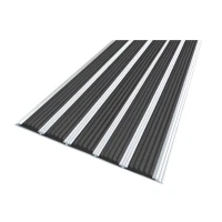 Противоскользящая алюминиевая полоса с пятью вставками 162 мм*6 мм 2,7 м