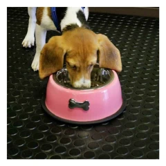 Рулонное резиновое покрытие  COMFORTWAY 